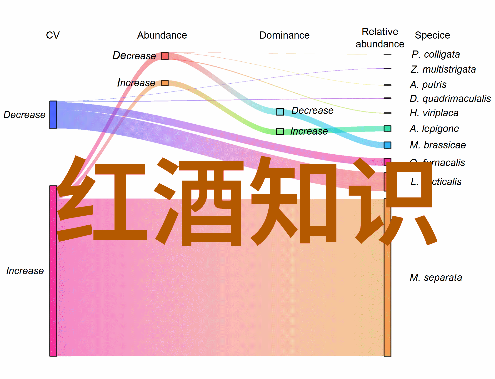 在宁静的自然之中贝拉庄园呈现其独特的红酒体验想了解最新的红酒价格信息只需轻触手机屏幕就能激活我们的扫