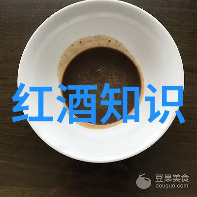 搜寻答案的孤独者在知识海洋中漂泊