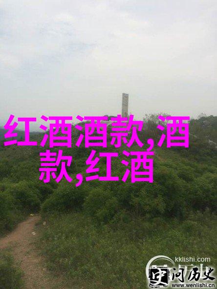 驾驶中的苦恼视频疼痛声响与免费软件的谜团