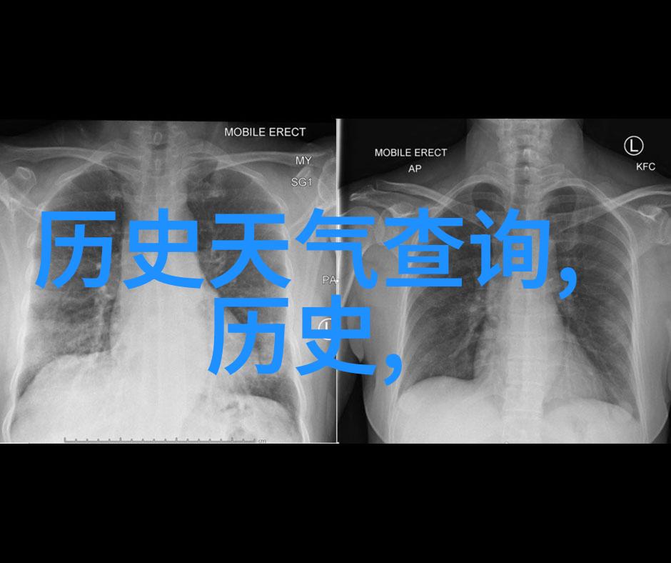 法国葡萄酒-探索法国葡萄酒的源头从波尔多到布拉蒙