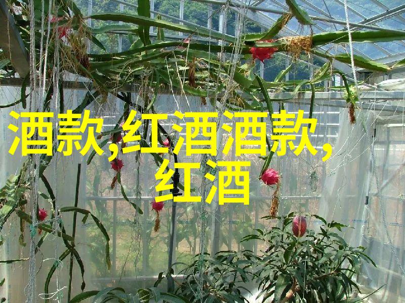 猫科动物品种大集合从迷你小精灵到壮硕巨兽