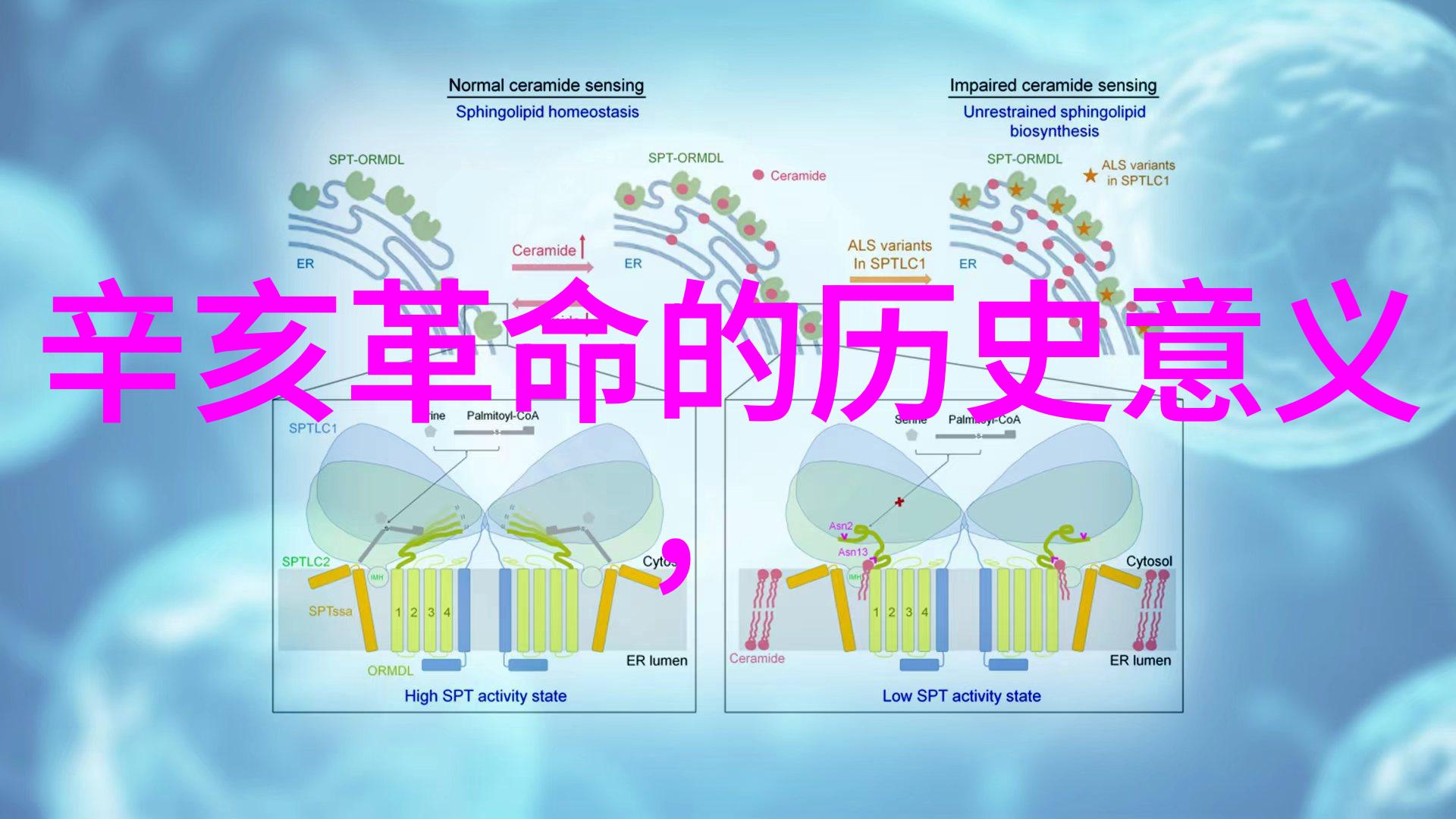 百度答主注册指南成为百度知识问答平台的专家