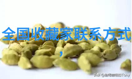 寻秦记txt下载找到了