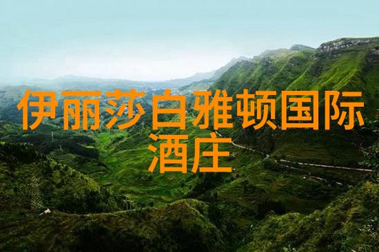 从田间到杯中 法国内生产量最大地区如何将传统与现代相结合