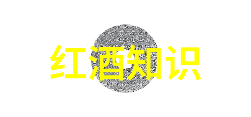 法国葡萄酒之旅揭秘布尔戈尼与波尔多的奥秘