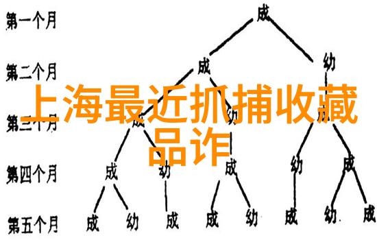 黑龙江粮食主产区之谜遥远的田野背后的秘密