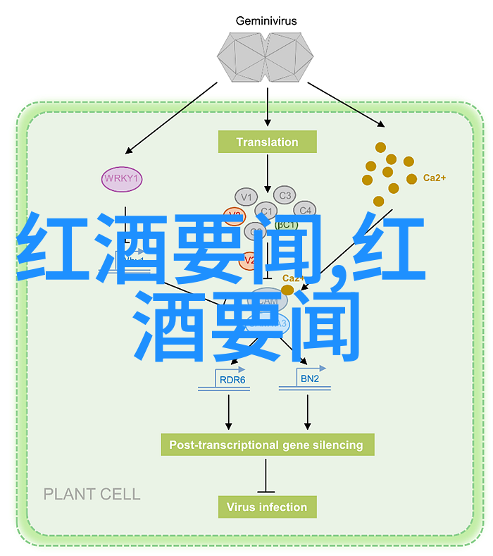 数字货币时代下的纸币交易市场平台创新与安全的双刃剑