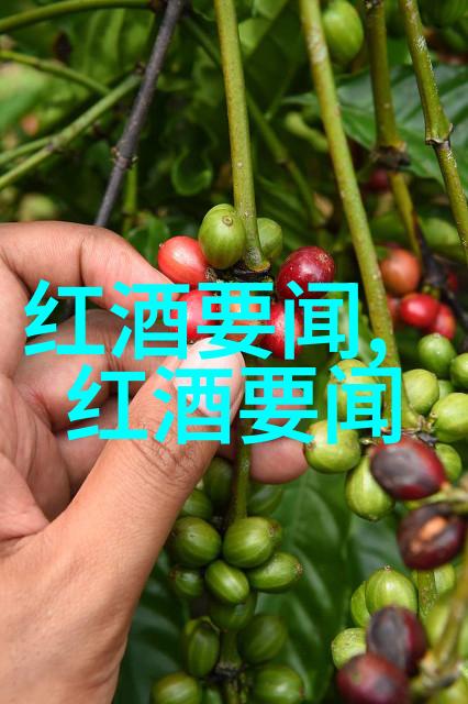 中国精神的象征荣耀的模范之光