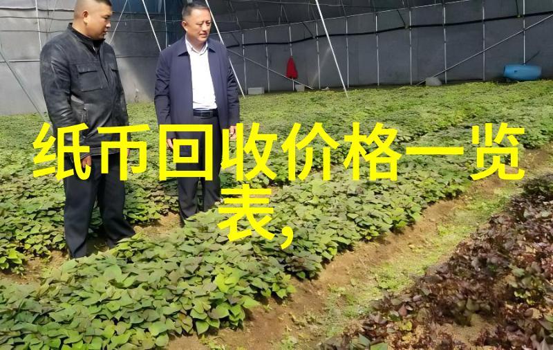 波尔多期酒收藏图像寻找指南