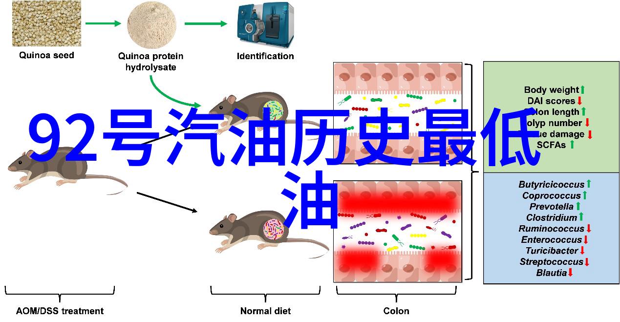 探秘灰比诺世界cassegrain红酒官网揭秘有趣事实