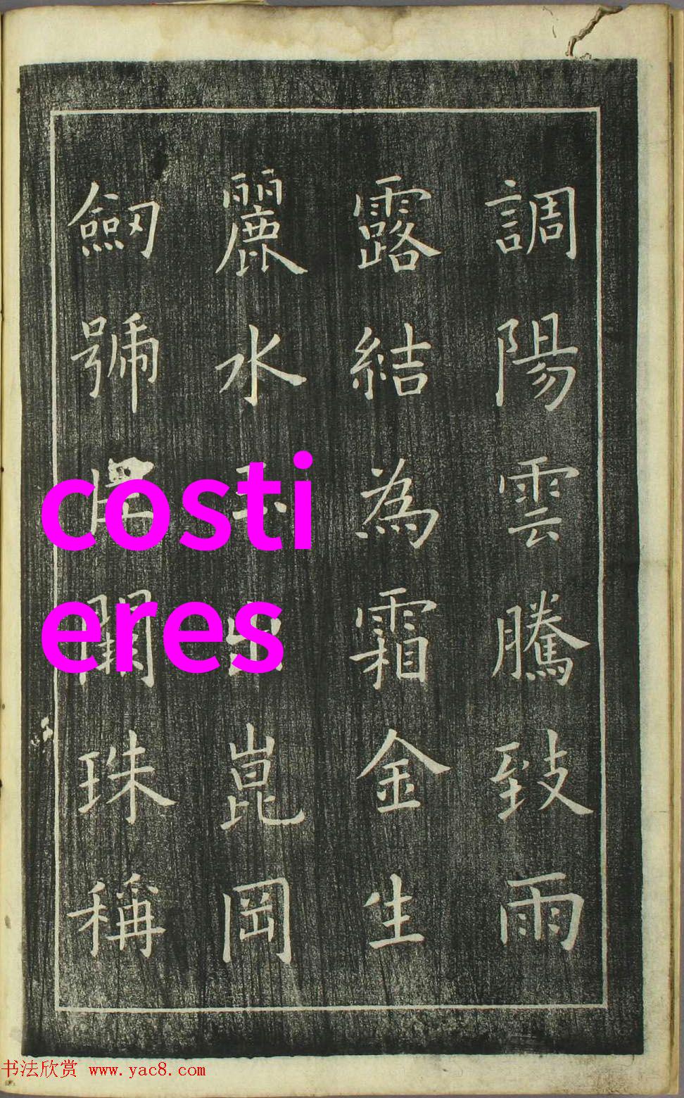 在成都周边旅游景点推荐中鹅肉与葡萄酒的完美融合让年夜饭变得无比精彩