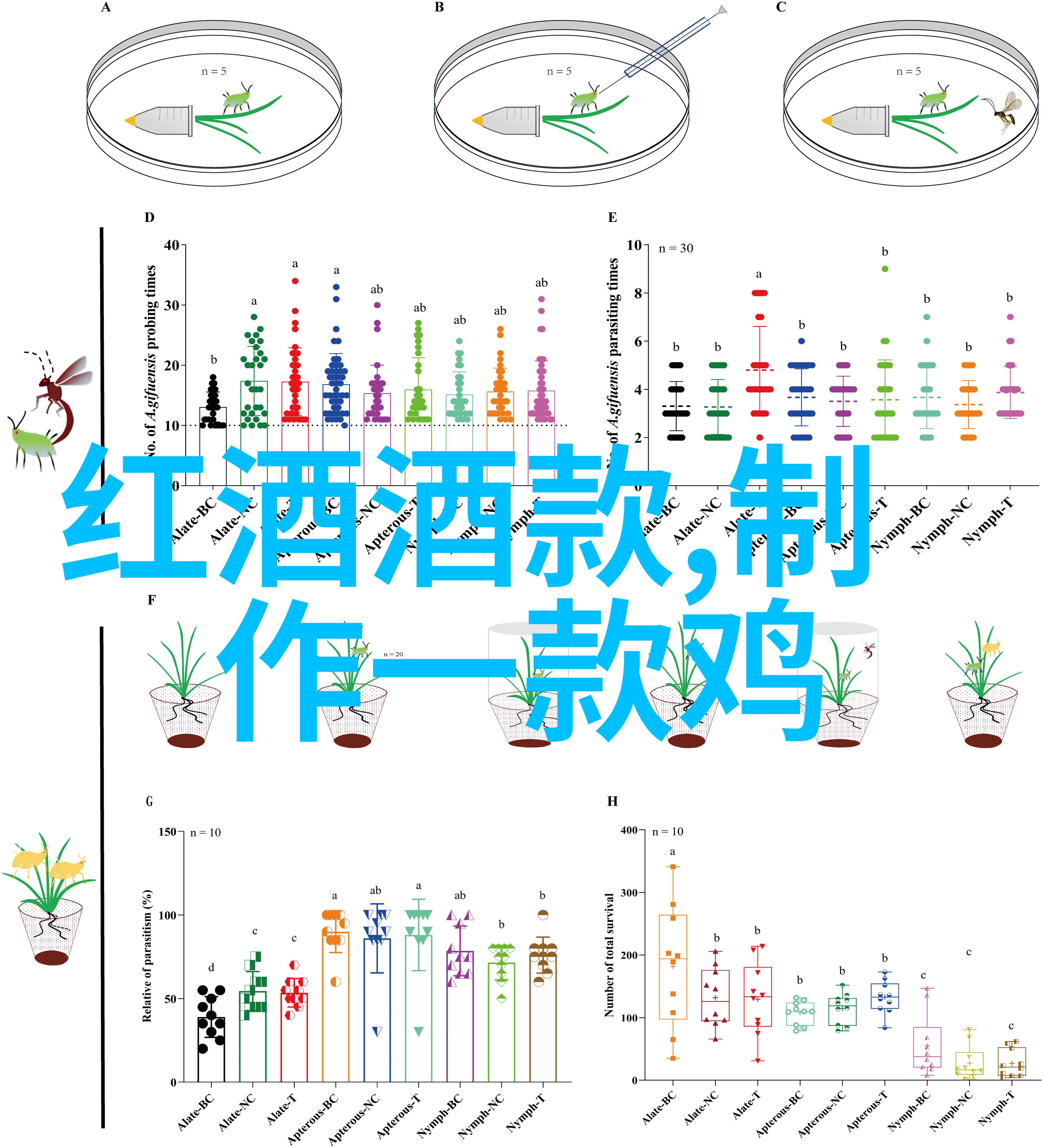 法国最著名的葡萄酒产区 - 波尔多法国葡萄酒王国的巅峰之选