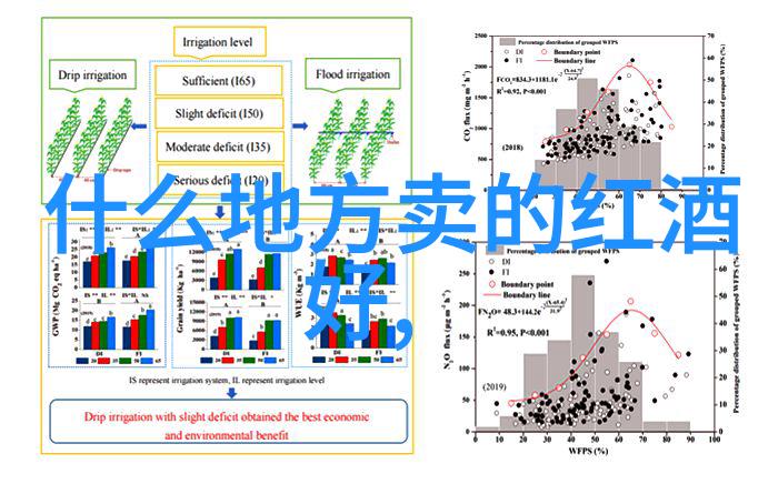 Siamese猫蓝眼明目与古老智慧的融合