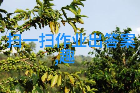 从大到小从短毛到长毛每个角落都藏着精彩