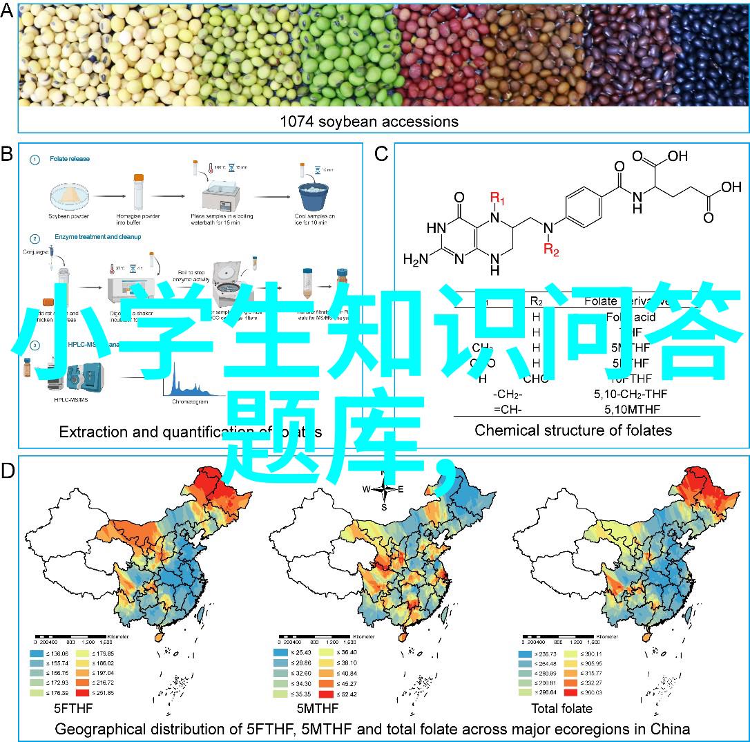 葡萄牙的甜蜜诱惑杜罗河谷与阿尔加夫岛