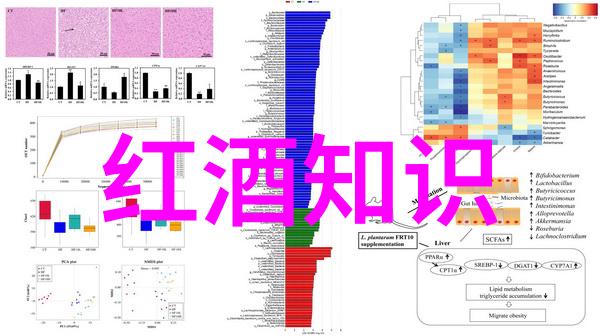 玉米种子排名前10颗粒中的丰饶与时光的礼赞