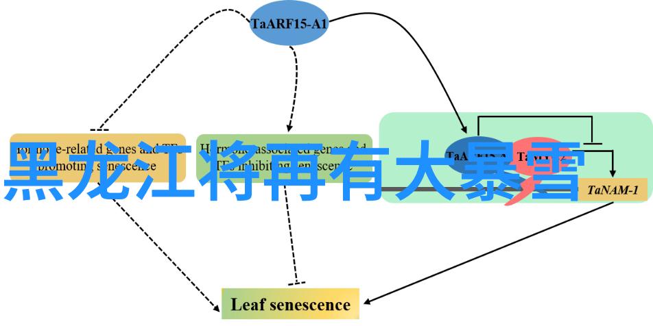 在意大利托斯卡纳南部有一片著名的葡萄酒顶级产区蒙塔奇诺又被称作蒙塔希诺那里是不是世界上最美丽的风景和