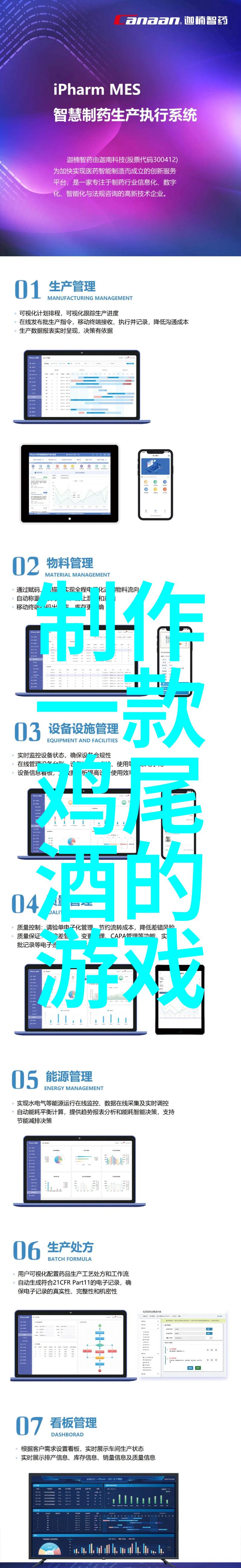 法国葡萄酒之冠波尔多波尔多地区的葡萄酒生产