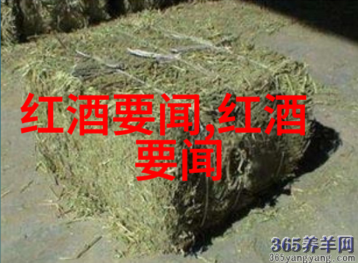 上海周边自驾游胜地探索未知的自然风光