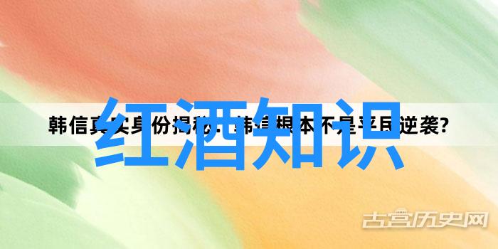 法国著名的葡萄酒产区-波尔多布鲁阿克与罗纳河谷探索法国葡萄酒的巅峰