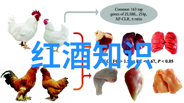 华夏钱币收藏网登录Symington第五版Grahams The Stone Terraces Vi