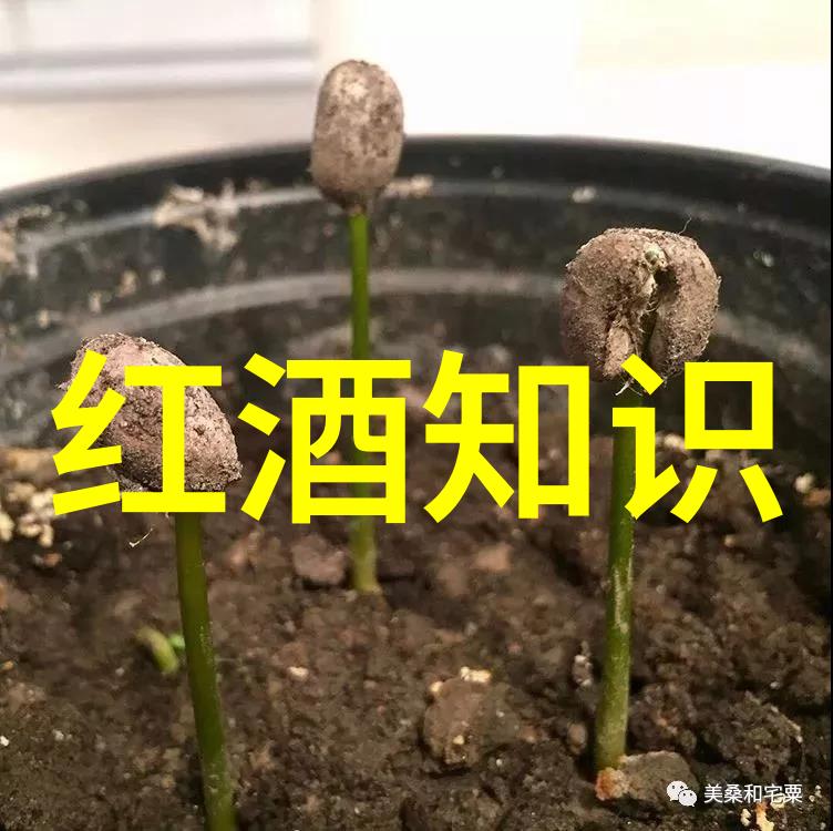 帅气体育生GARY网站小蓝黄金健康生活方式的完美形象