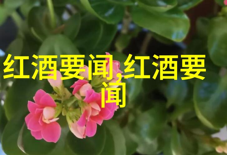 茶与健康立夏保健姜之妙用