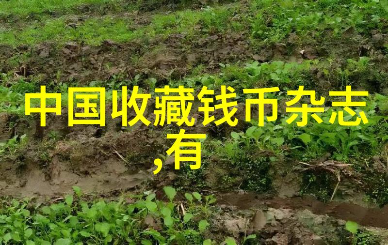 大中华收藏网揭秘ROOTSTOCK 2022年度活动究竟带来何种震撼