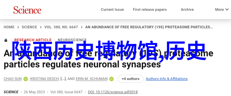 探秘-坤巴塞小洞里揭秘那些令人惊叹的视频背后的故事