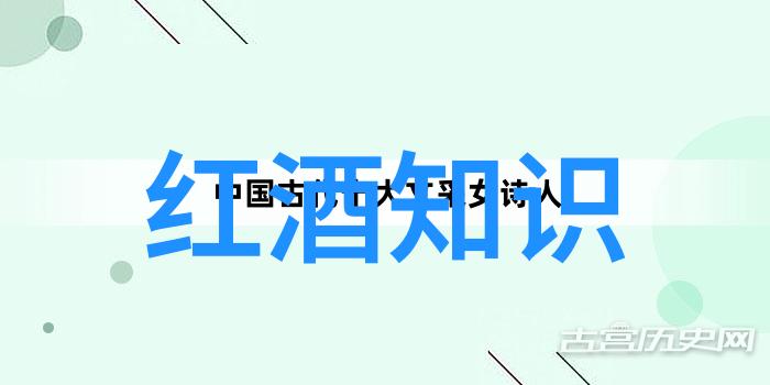 除了波尔多和布鲁克堡之外还有哪些知名的小型或较新的法国葡萄酒法定产区值得探索