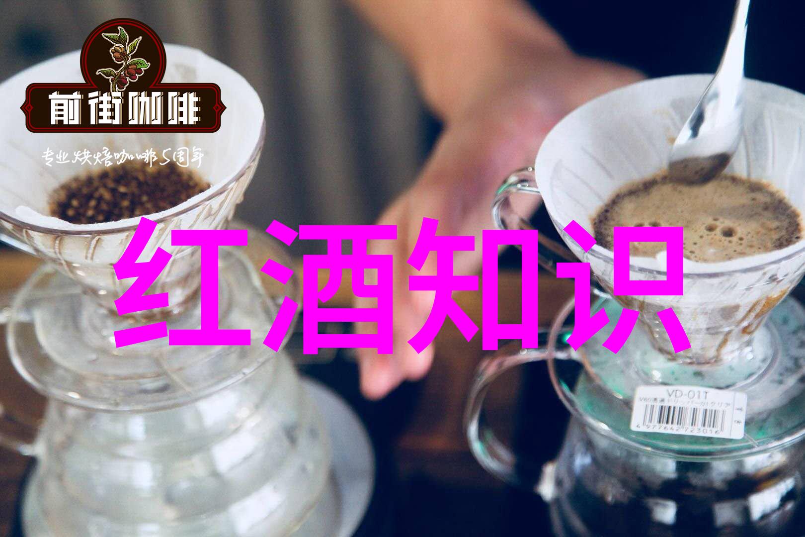 在全球化背景下我们该如何维护文化多样性的同时促进经济一体化