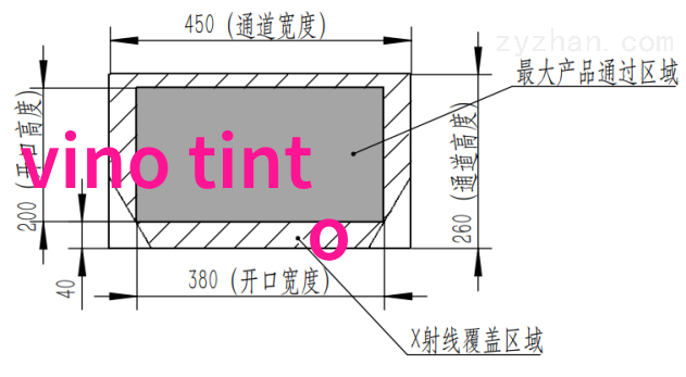 在葡萄园里漫步的女主人手中轻轻地摇晃着一瓶PtillantNaturel或ptnat她想象着这是一种