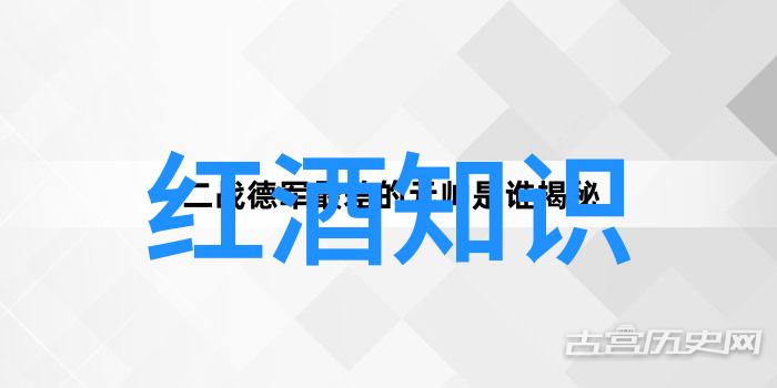 酒文化简介醉美风情下的古今交融