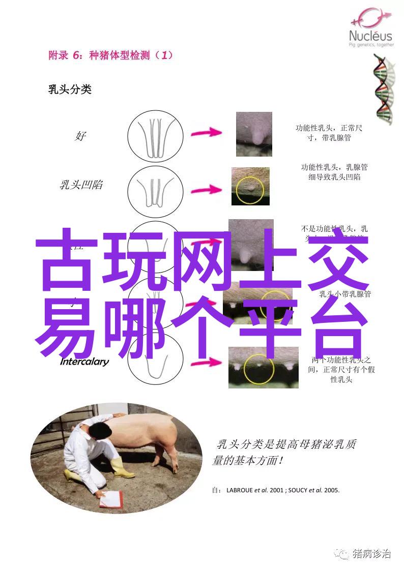 上海近郊的好玩之地权威指南