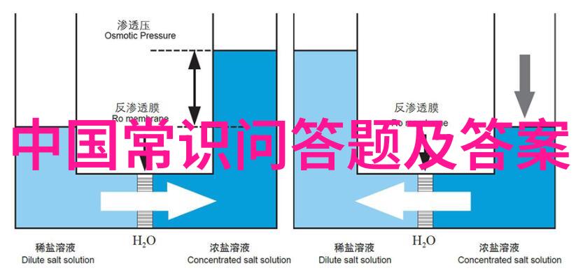 钻石狗国语探秘宠物世界的璀璨语言艺术