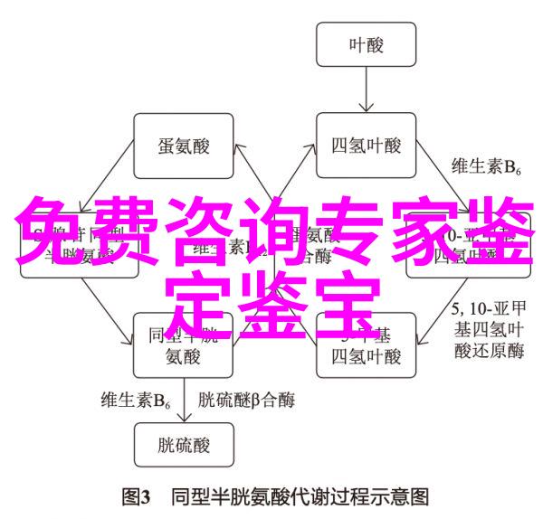 生态周边保护我们赖以生存的地球家园