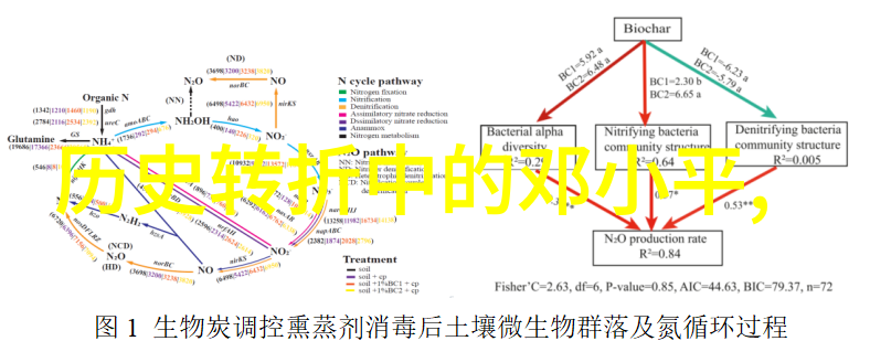 和男配绑定之后我这边的剧情走向完全改变了