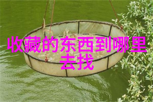 追逐白帅探索Chanson Cheval Blanc的故事与魅力