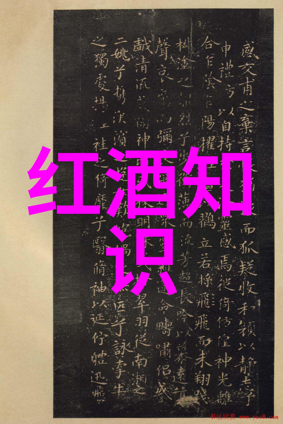 根据数据分析古井贡酒年份原浆献礼版网络专供在百度网页版入口上的收藏价值如何