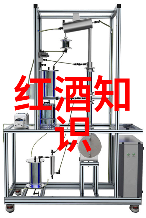 人物的名词解释怎么答-揭秘人名背后的故事从字面到深层次的理解