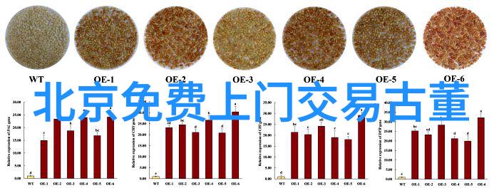 收藏界杂志社探索古籍与艺术品的珍稀世界