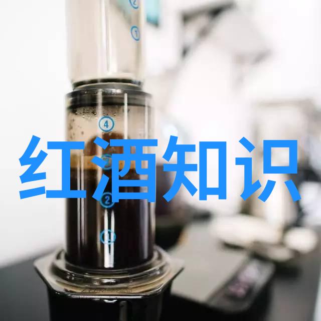 人工智能问答系统的网页化应用及其对教育信息检索的影响