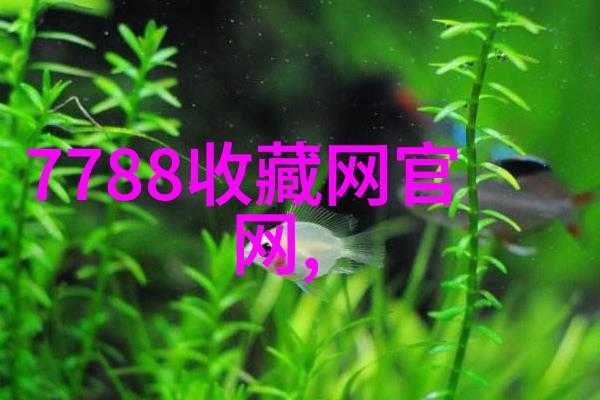 讲历史人物故事-穿越时光的影子从文天祥到鲁迅的历史传承