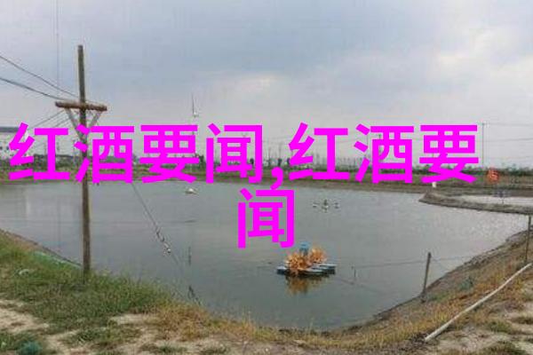 2012年葡萄酒市场如同一罐珍贵液体只有200万美元的规模而文物与收藏品的区别却能让这数字闪耀着无价