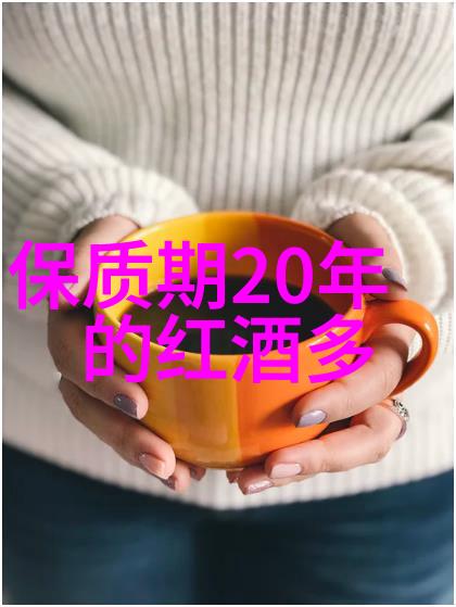 范仲淹文官南齐遗民与北宋兴起的智慧导师