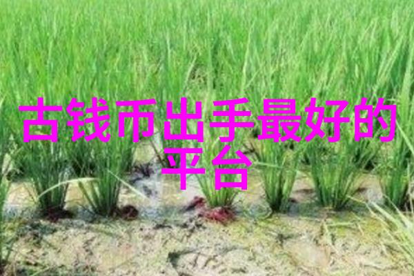 主题我在法国最大葡萄酒产地的惊喜冒险