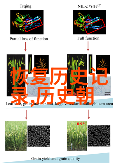 反复品味新加坡2023年Vinexpo Asia将在那绽放如玫瑰品种大全图解般灿烂的盛会