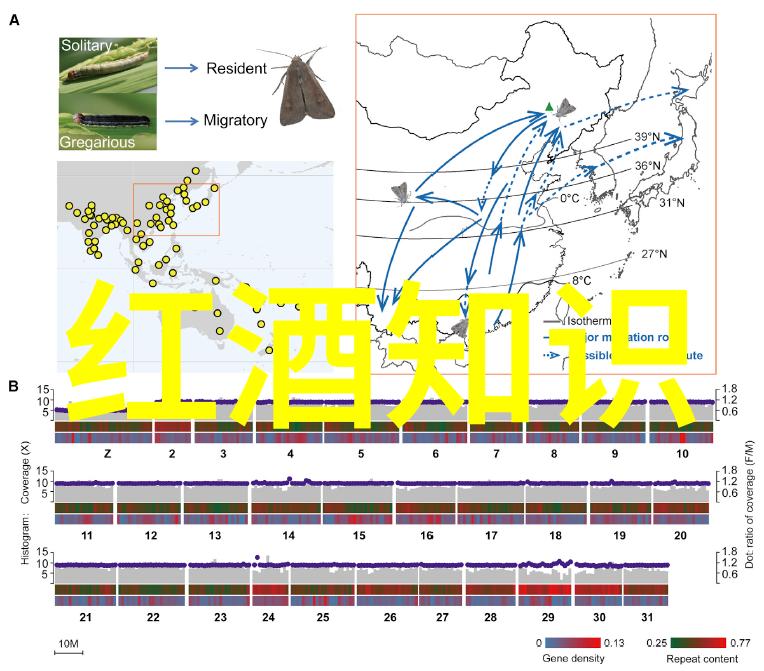 葡萄酒适量饮用反复提醒降低老年痴呆症风险介绍酒文化简单两句