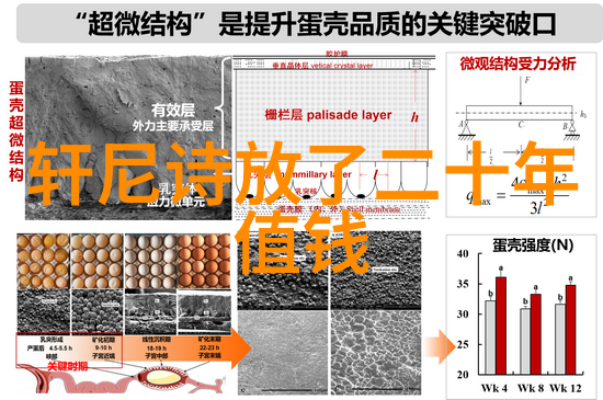 中国葡萄酒之巅一场真正的斜坡之旅