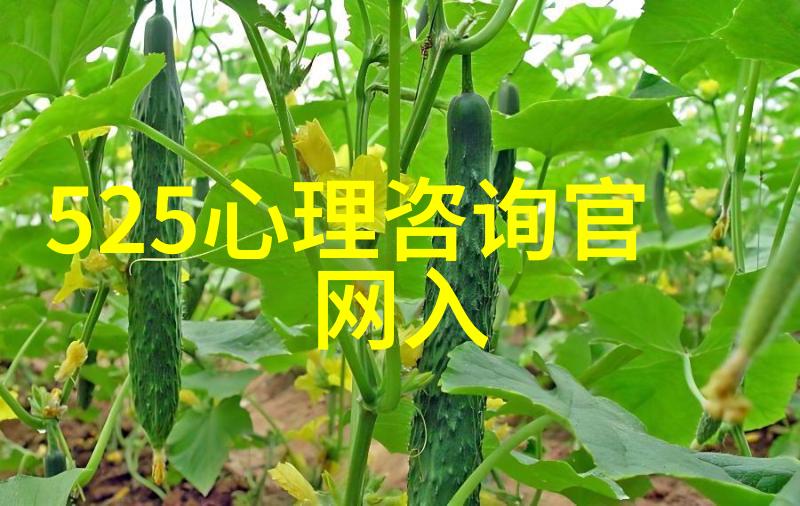 手机藏宝图Opolo酒庄庆祝21周年释放2020年山谷茉莉酒的魅力